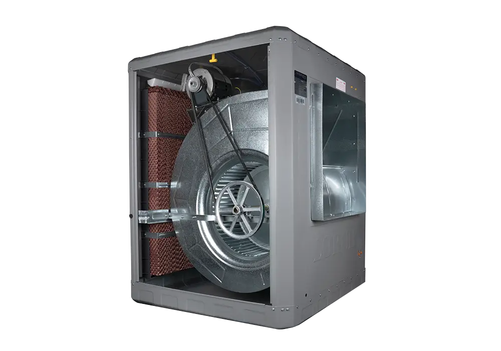 cellulose-cooler-8000-4